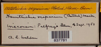 Image Associated With the Occurence